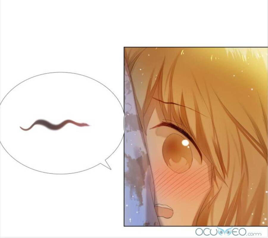 Kế Hoạch Trái Tim Chapter 31 - 19