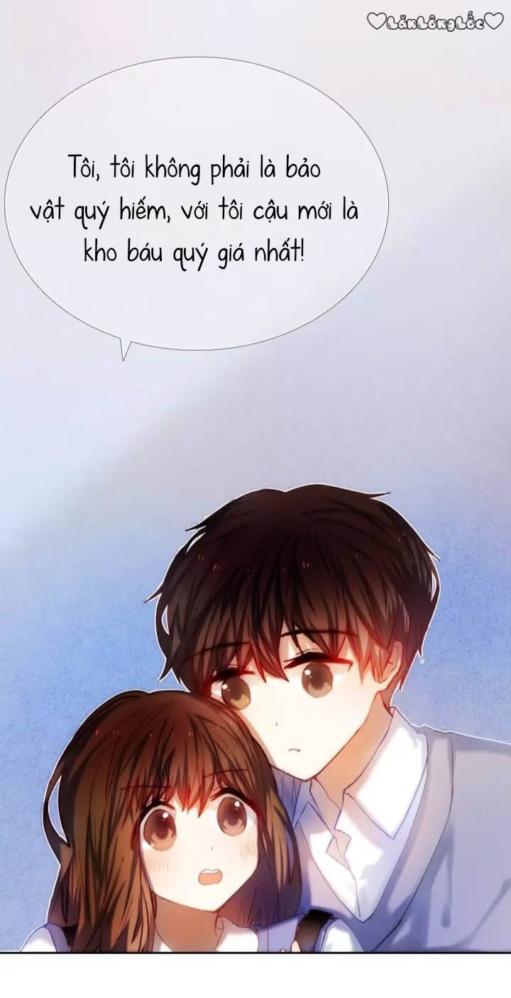 Kế Hoạch Trái Tim Chapter 40 - 3