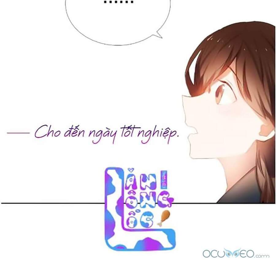 Kế Hoạch Trái Tim Chapter 20 - 8