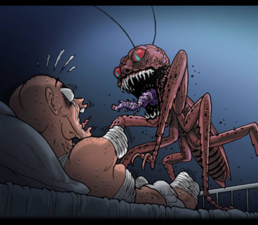 Kinh Dị Không Lời Chapter 247 - 11