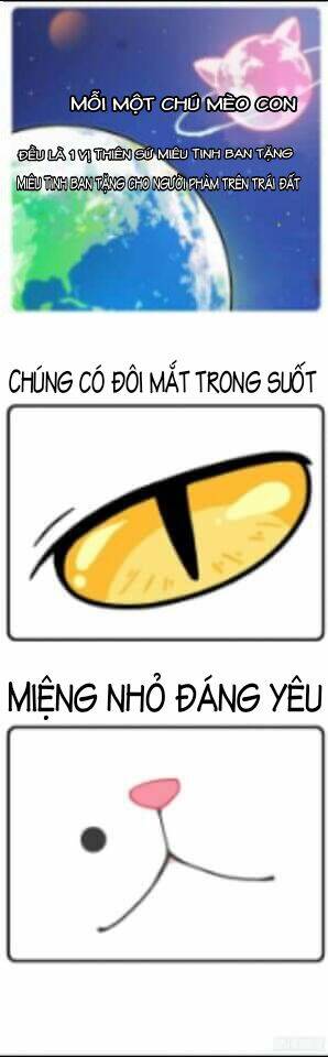 Hello Dư Tuyết Đặc Chapter 1 - 2