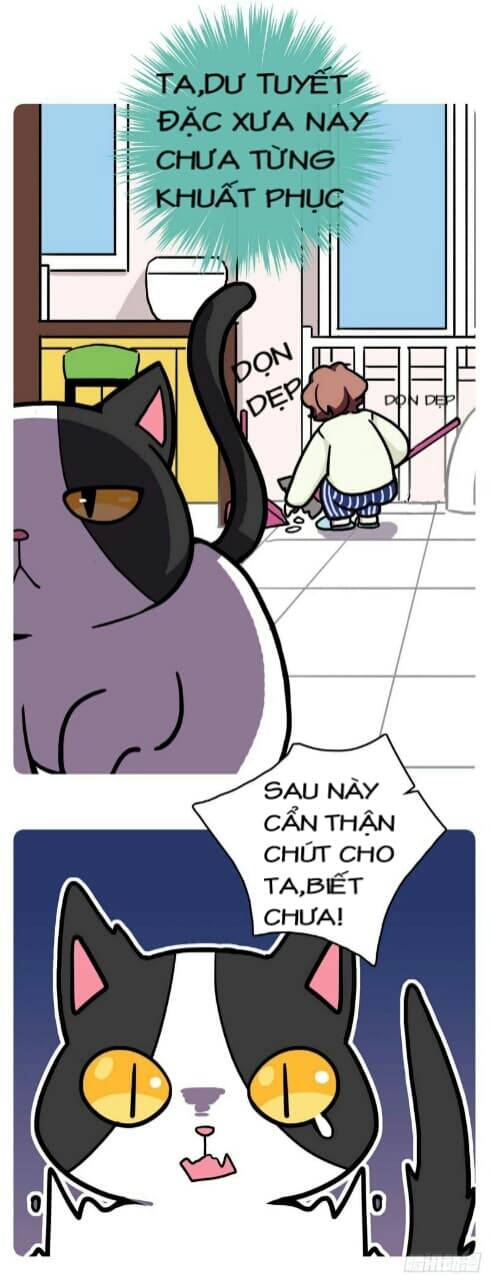 Hello Dư Tuyết Đặc Chapter 1 - 11