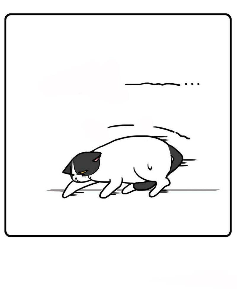 Hello Dư Tuyết Đặc Chapter 1 - 12