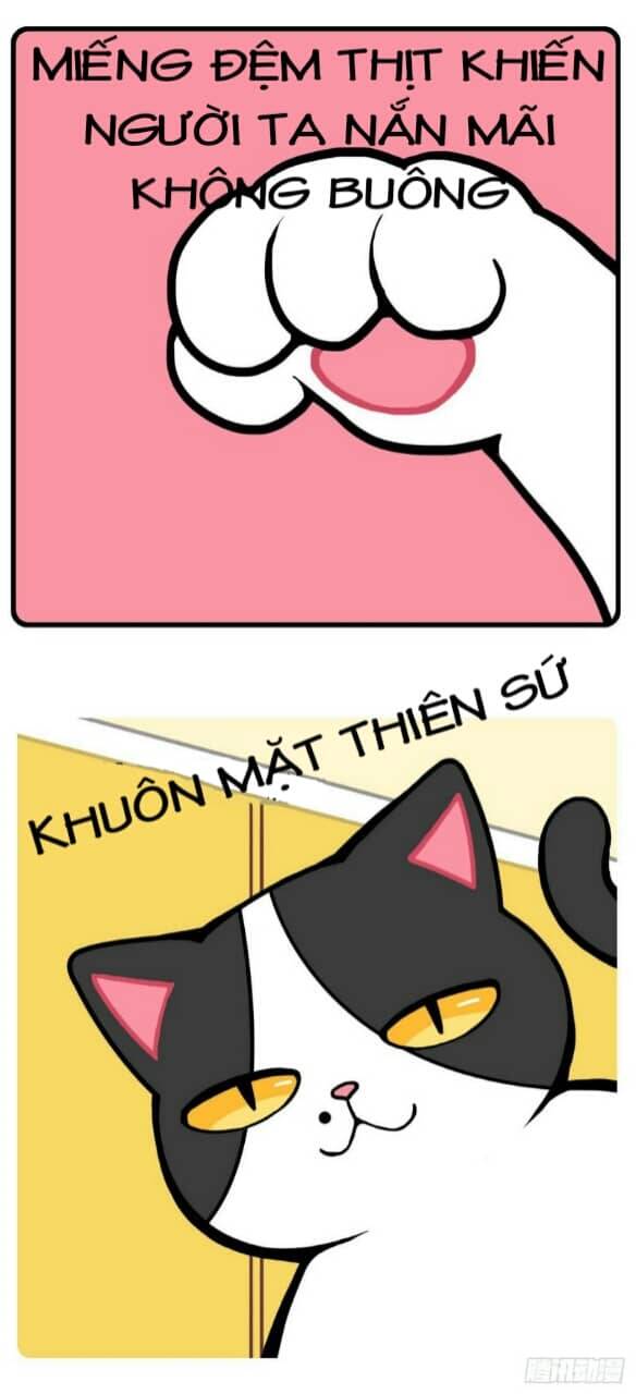 Hello Dư Tuyết Đặc Chapter 1 - 3