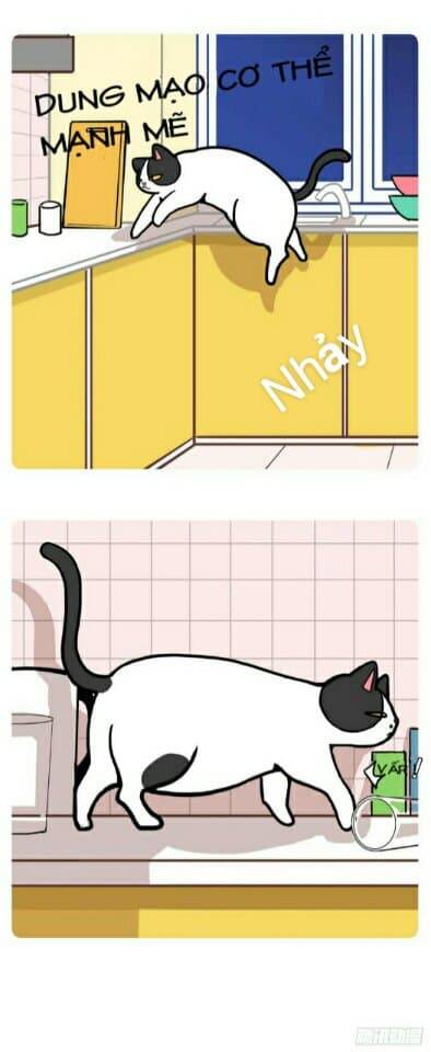 Hello Dư Tuyết Đặc Chapter 1 - 4