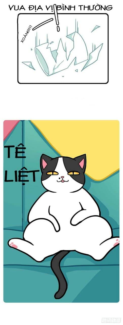 Hello Dư Tuyết Đặc Chapter 1 - 5