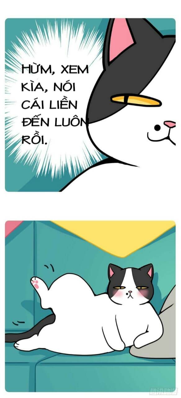 Hello Dư Tuyết Đặc Chapter 1 - 7