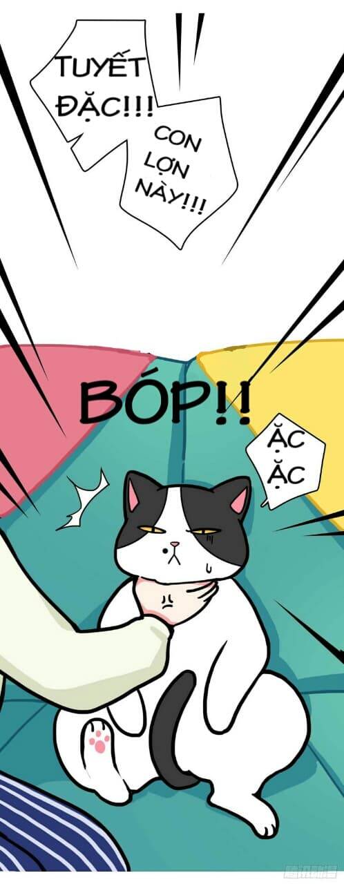 Hello Dư Tuyết Đặc Chapter 1 - 8