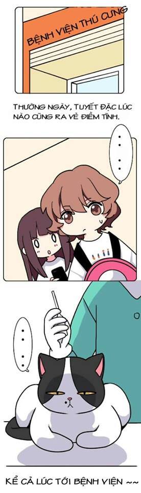 Hello Dư Tuyết Đặc Chapter 2 - 2