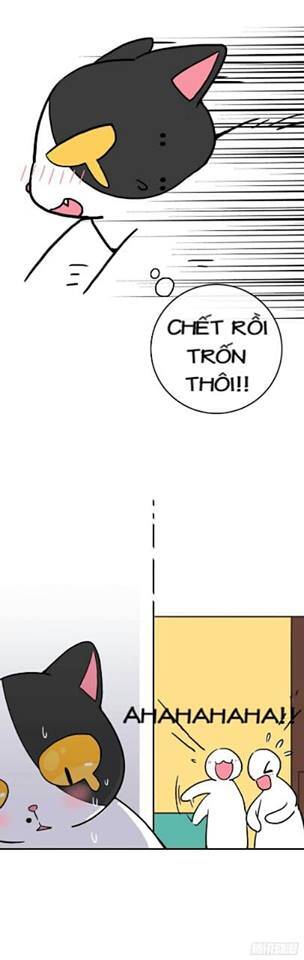 Hello Dư Tuyết Đặc Chapter 2 - 11