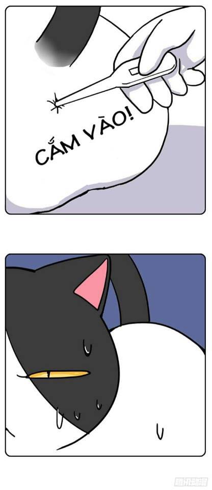 Hello Dư Tuyết Đặc Chapter 2 - 3