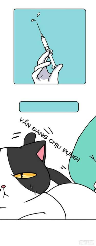 Hello Dư Tuyết Đặc Chapter 2 - 4