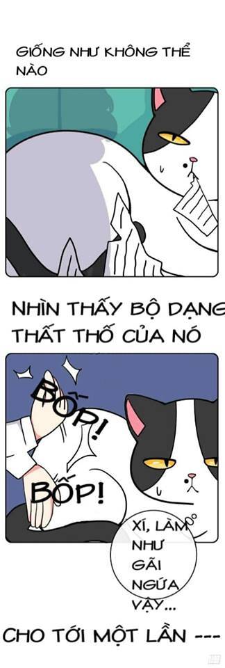 Hello Dư Tuyết Đặc Chapter 2 - 5