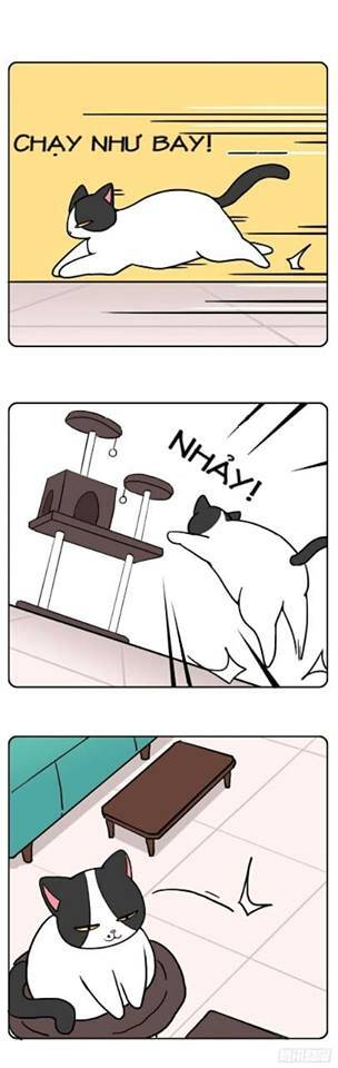 Hello Dư Tuyết Đặc Chapter 2 - 6