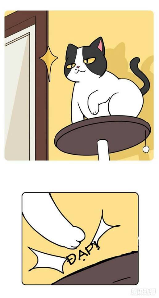 Hello Dư Tuyết Đặc Chapter 2 - 8