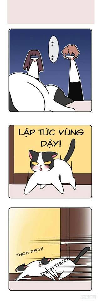 Hello Dư Tuyết Đặc Chapter 2 - 10