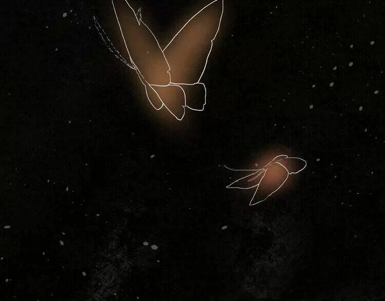 Sos! Tôi Đã Yêu Một Con Sâu Bướm Chapter 12 - 23