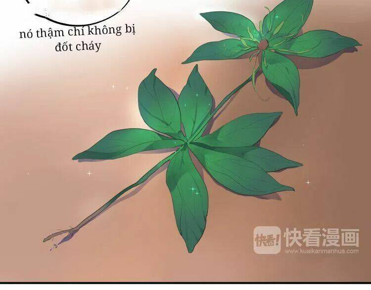 Sos! Tôi Đã Yêu Một Con Sâu Bướm Chapter 13 - 45