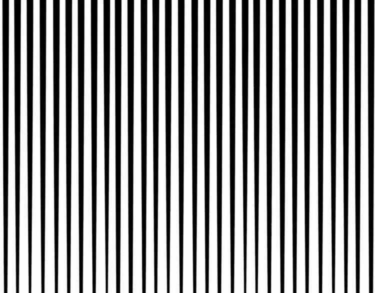 Sos! Tôi Đã Yêu Một Con Sâu Bướm Chapter 16 - 67