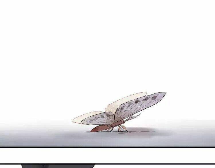 Sos! Tôi Đã Yêu Một Con Sâu Bướm Chapter 24 - 32