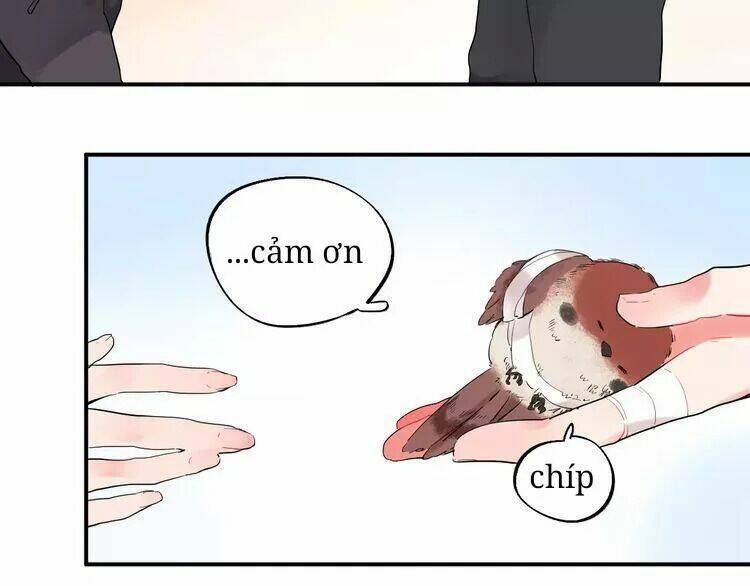 Sos! Tôi Đã Yêu Một Con Sâu Bướm Chapter 26 - 11