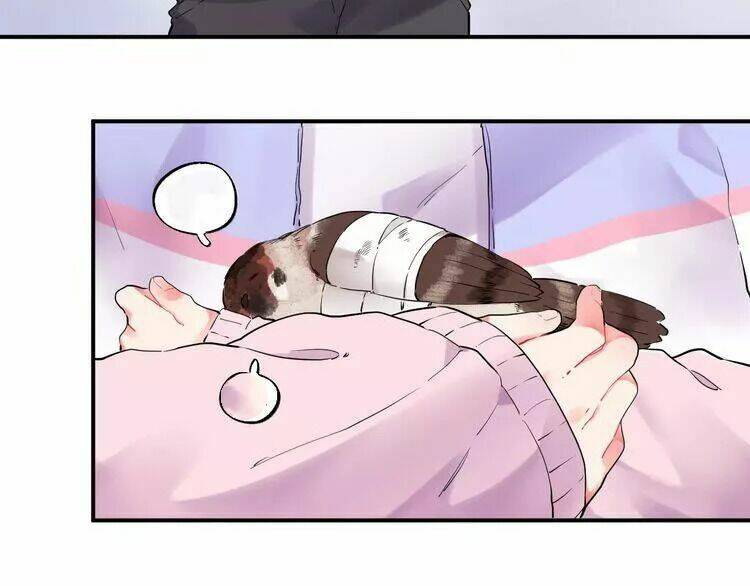 Sos! Tôi Đã Yêu Một Con Sâu Bướm Chapter 26 - 5