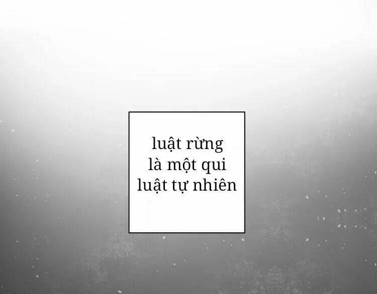 Sos! Tôi Đã Yêu Một Con Sâu Bướm Chapter 27 - 32