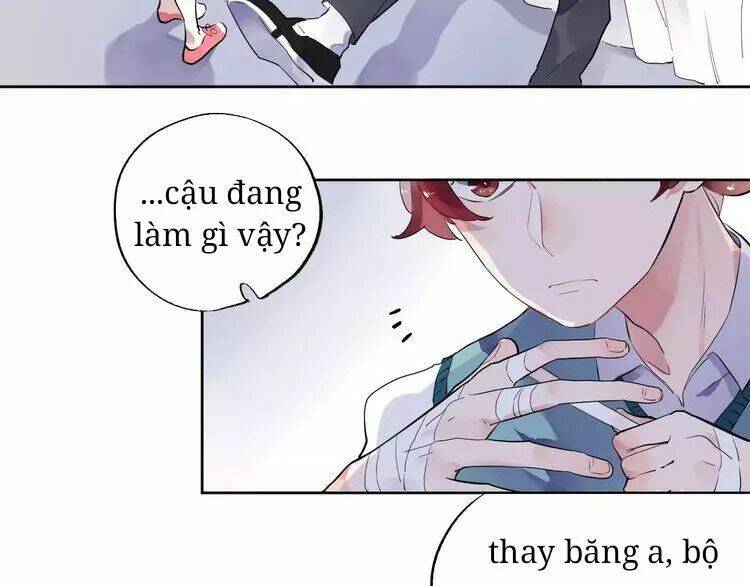 Sos! Tôi Đã Yêu Một Con Sâu Bướm Chapter 30 - 60