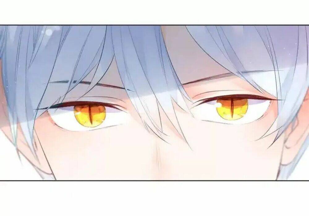 Sos! Tôi Đã Yêu Một Con Sâu Bướm Chapter 39 - 15