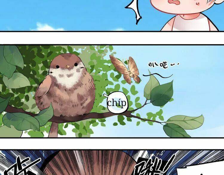 Sos! Tôi Đã Yêu Một Con Sâu Bướm Chapter 4 - 27