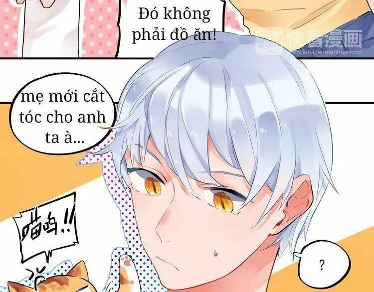 Sos! Tôi Đã Yêu Một Con Sâu Bướm Chapter 4 - 6