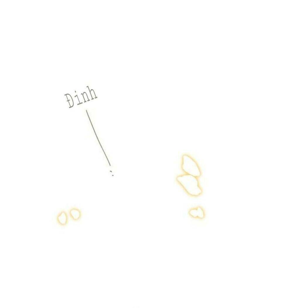 Sos! Tôi Đã Yêu Một Con Sâu Bướm Chapter 55 - 11