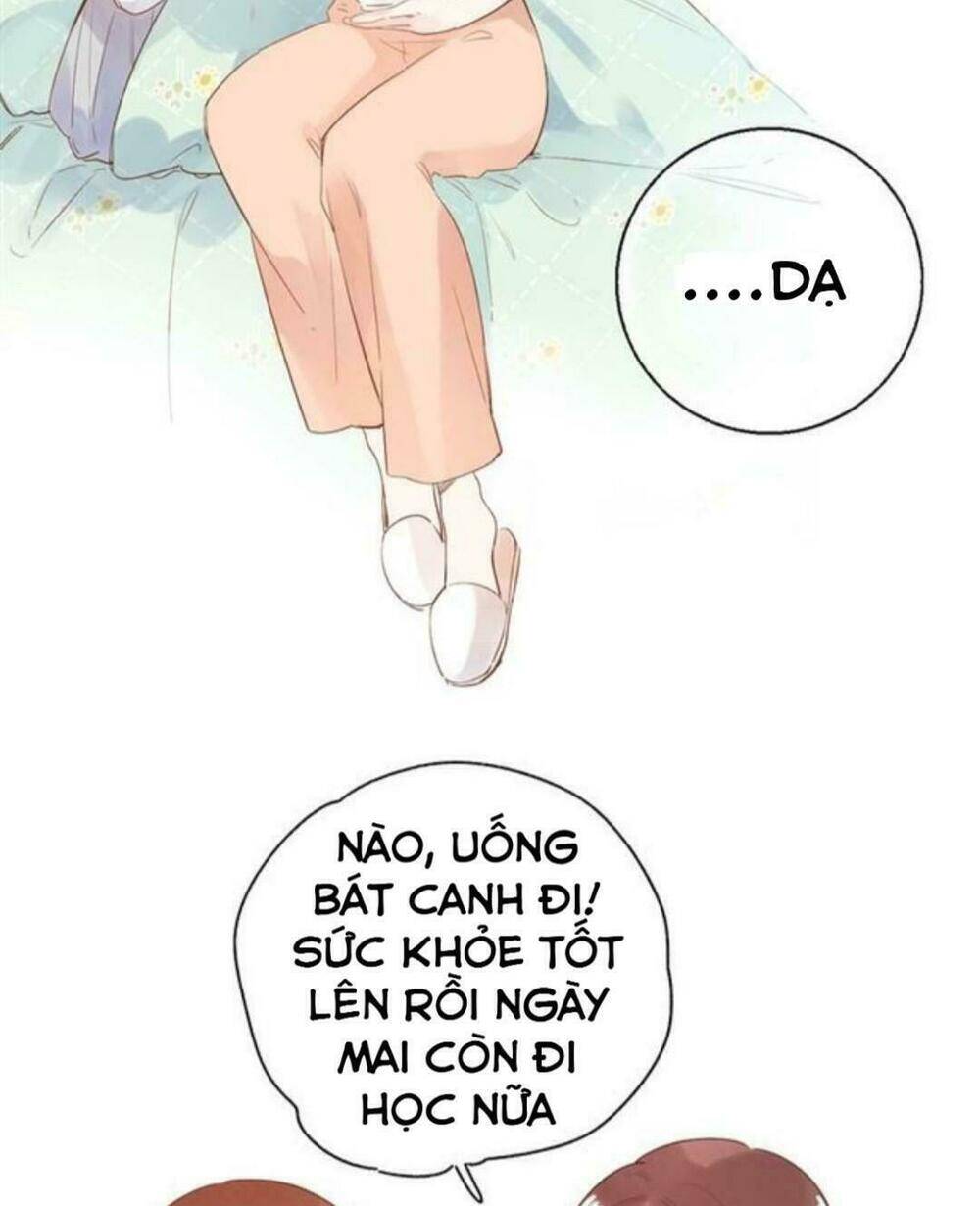 Sos! Tôi Đã Yêu Một Con Sâu Bướm Chapter 55 - 55