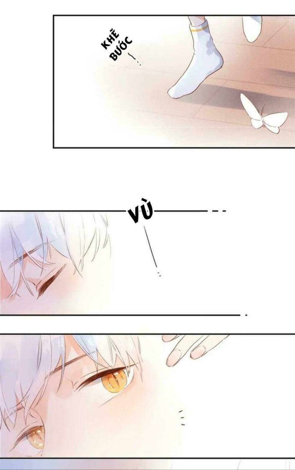 Sos! Tôi Đã Yêu Một Con Sâu Bướm Chapter 55 - 64