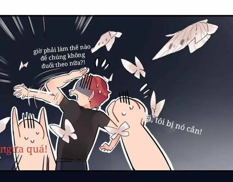 Sos! Tôi Đã Yêu Một Con Sâu Bướm Chapter 7 - 12