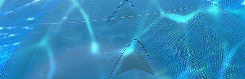 Yêu Giả Vi Vương Chapter 317 - 4