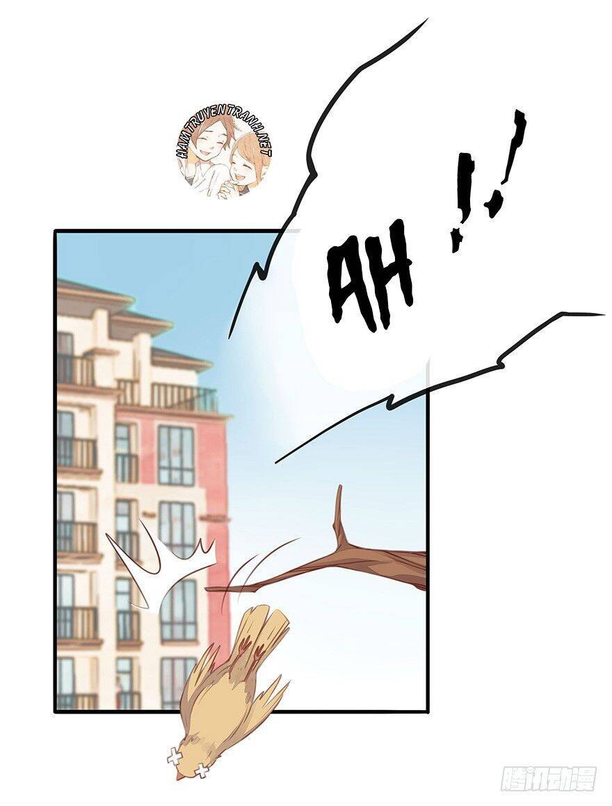 Tổng Tài Đại Nhân Tâm Thiếu Nữ Chapter 4.1 - 16