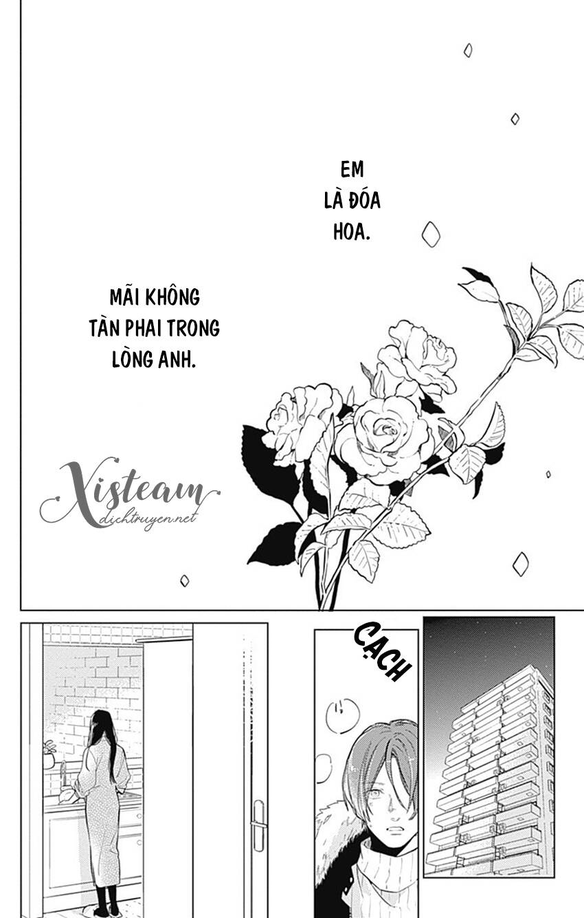 Cảm Xúc Ngọt Ngào Chapter 62.5 - 52