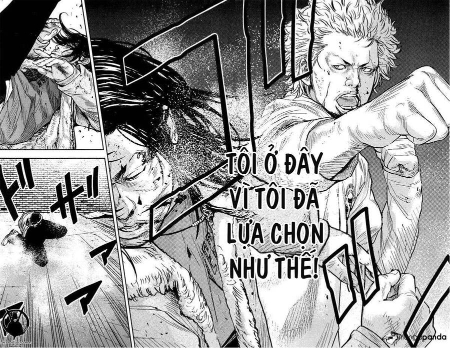 Clover Chapter 230 - 18