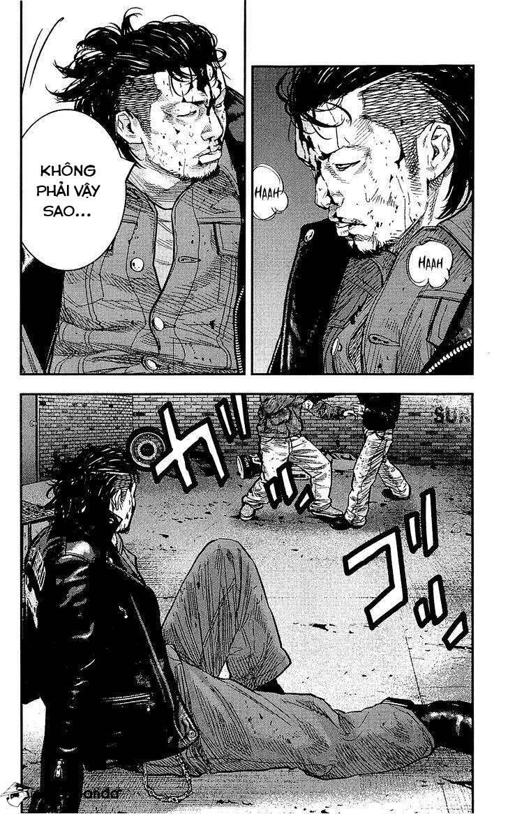 Clover Chapter 232 - 6