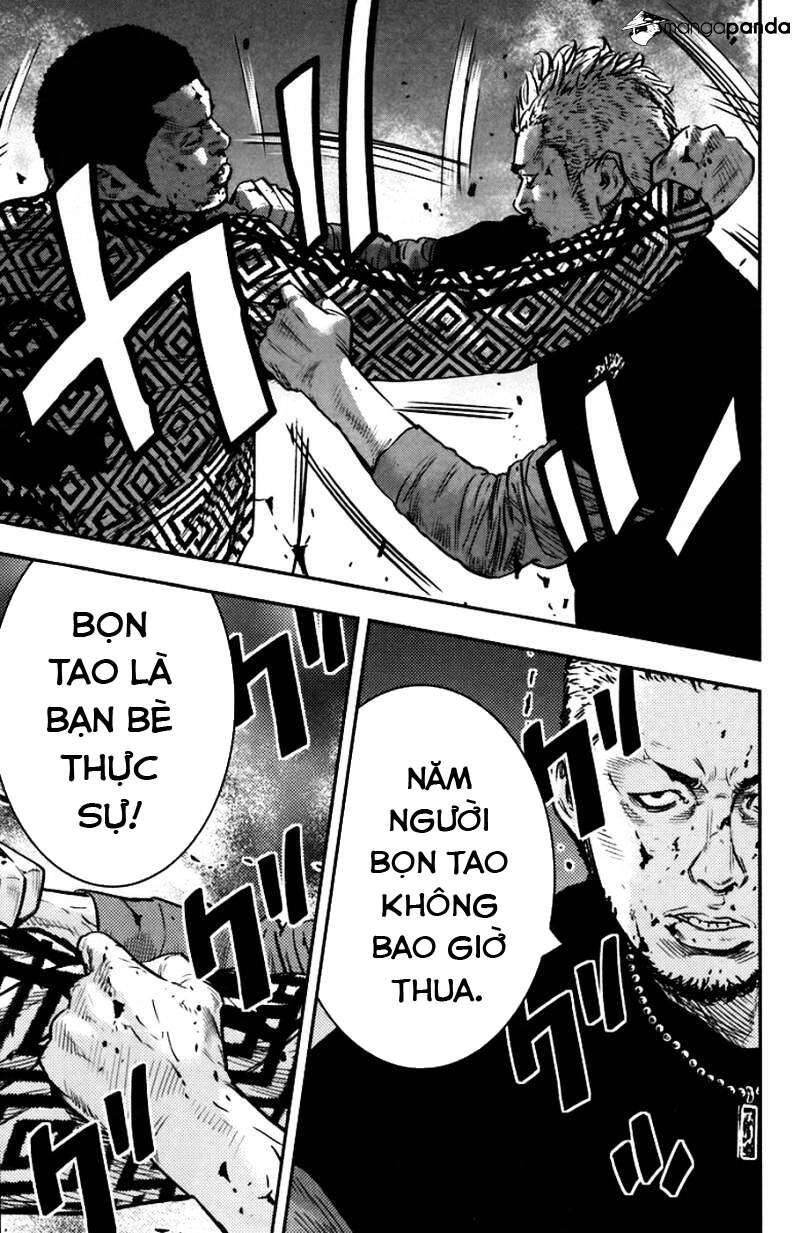 Clover Chapter 233 - 13