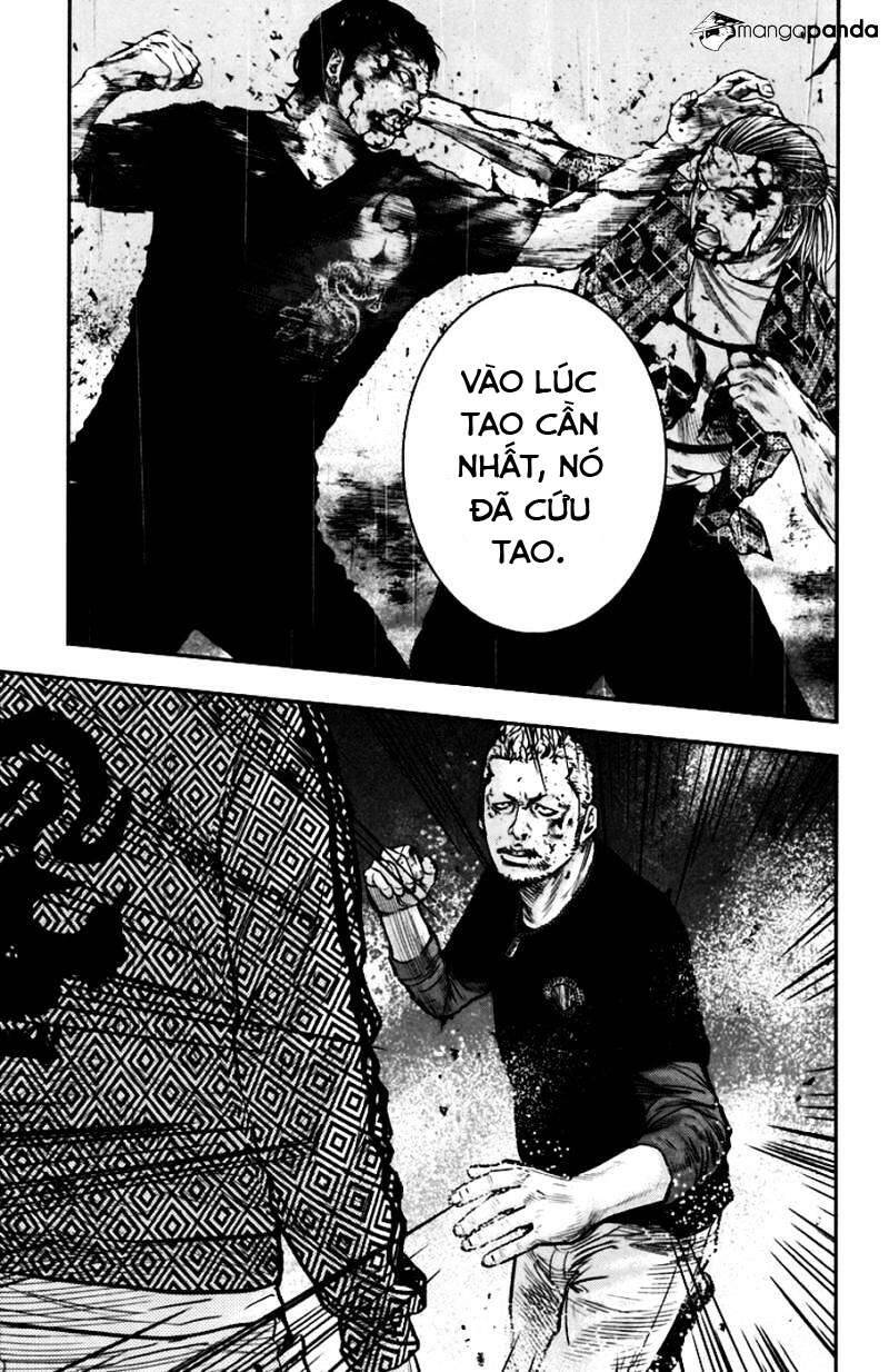 Clover Chapter 233 - 19
