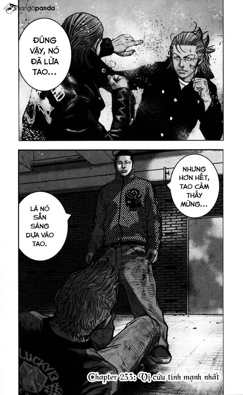 Clover Chapter 233 - 6