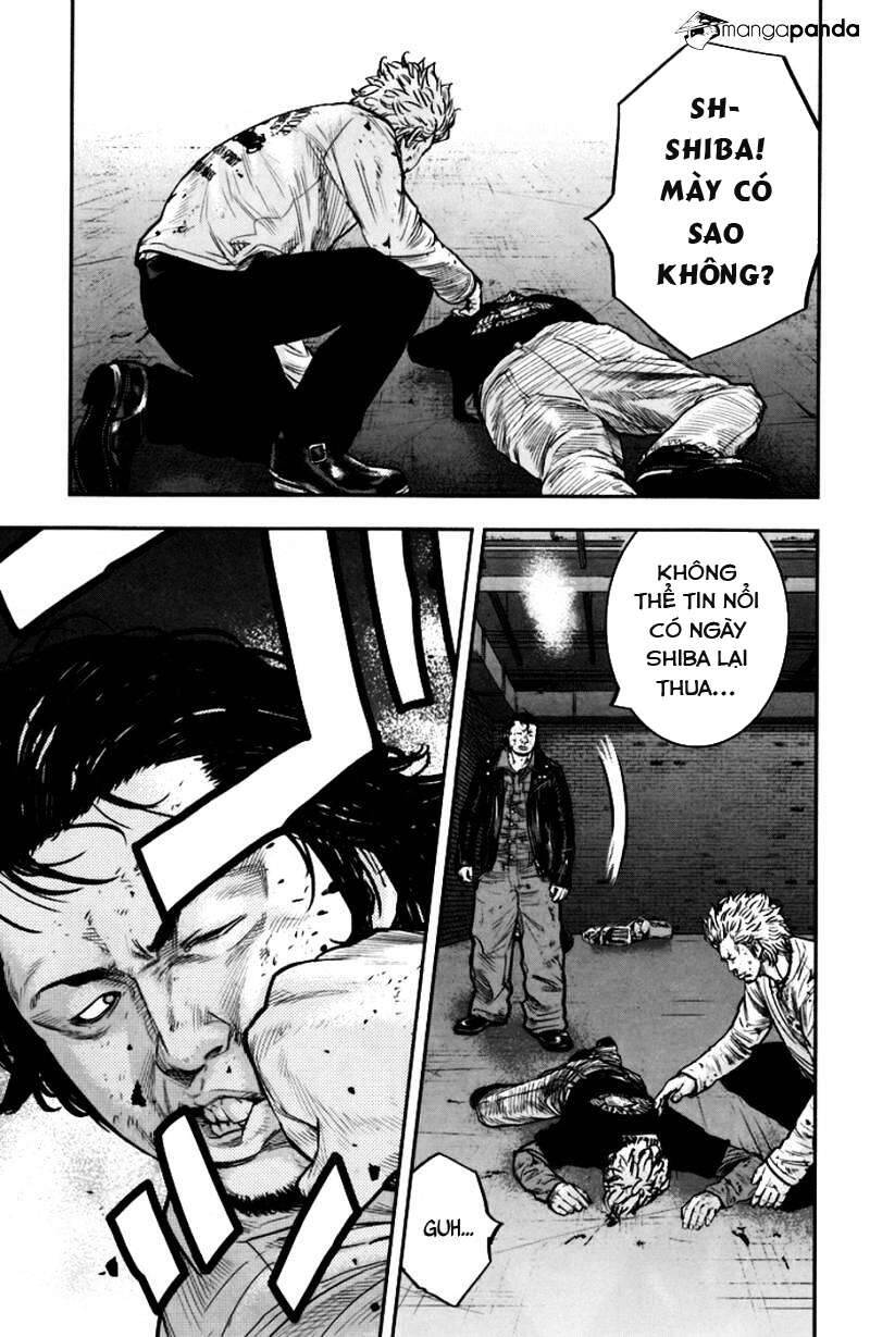 Clover Chapter 234 - 14