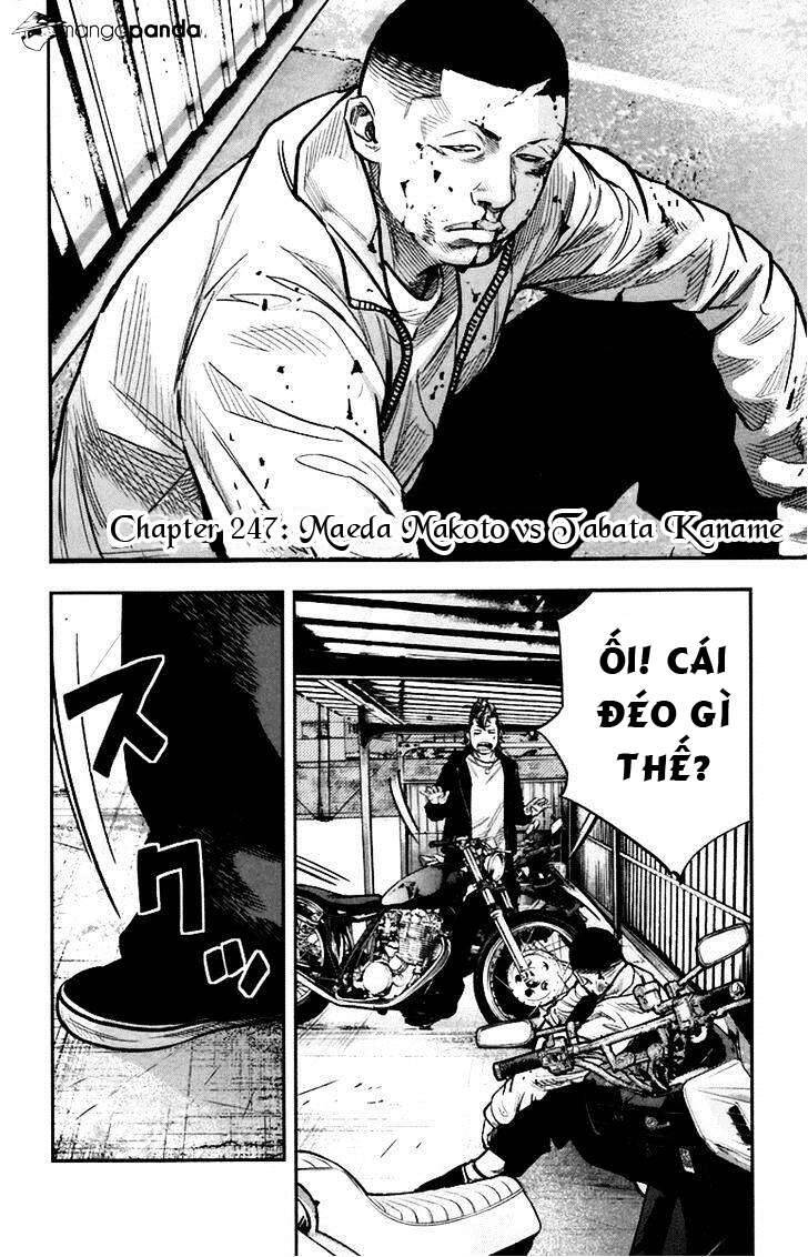 Clover Chapter 247 - 2