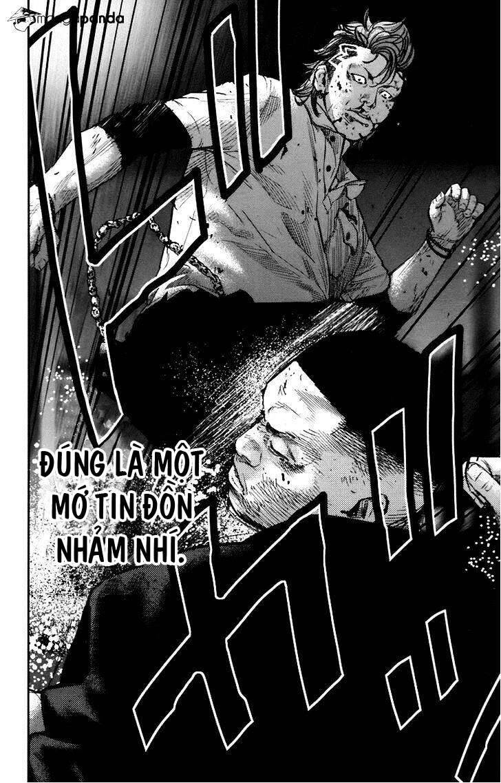 Clover Chapter 252 - 20