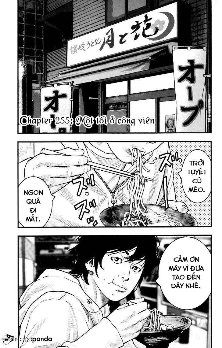 Clover Chapter 255 - 1