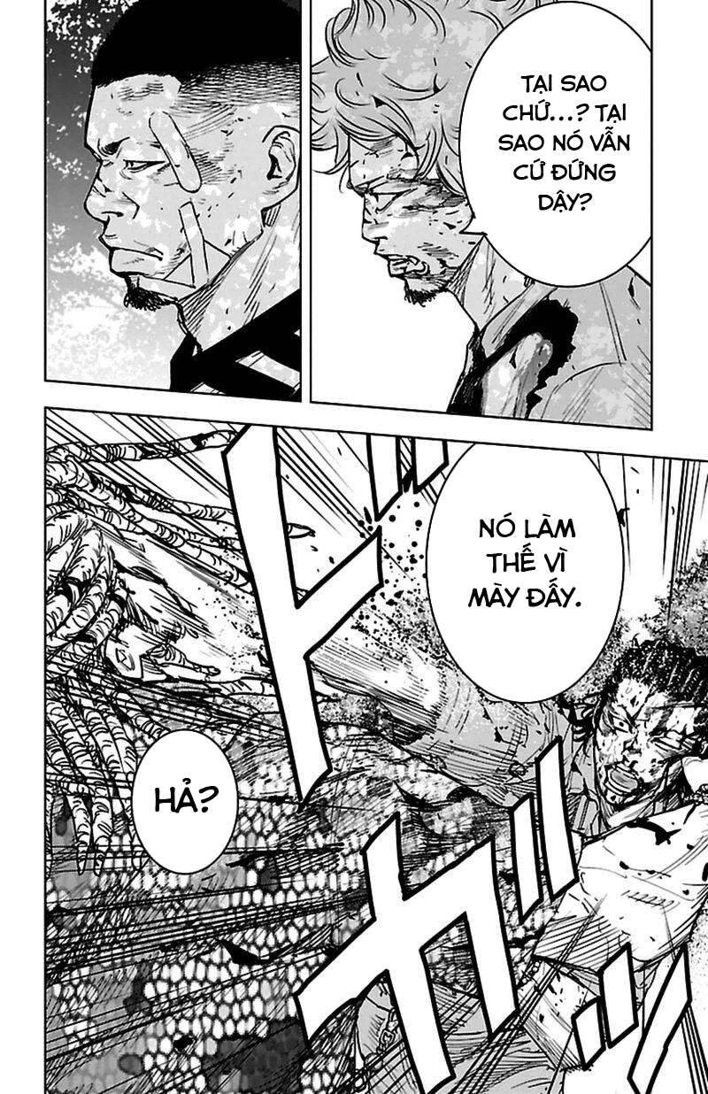 Clover Chapter 375 - 13