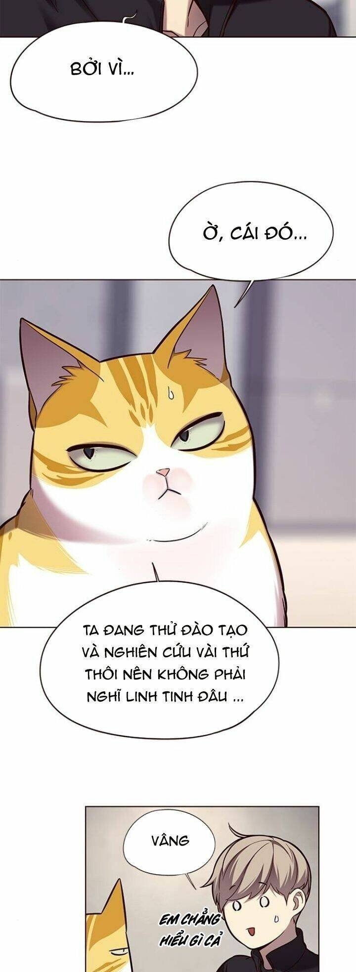 Hoá Thân Thành Mèo Chapter 116 - 34