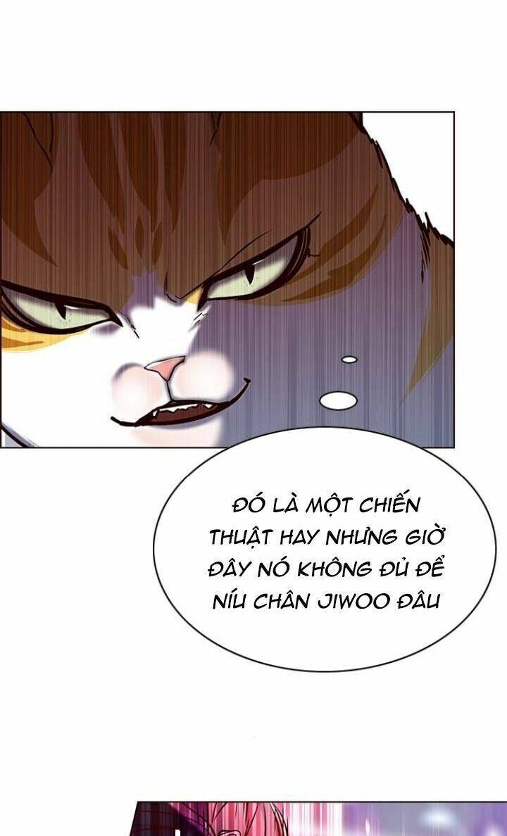 Hoá Thân Thành Mèo Chapter 119 - 73